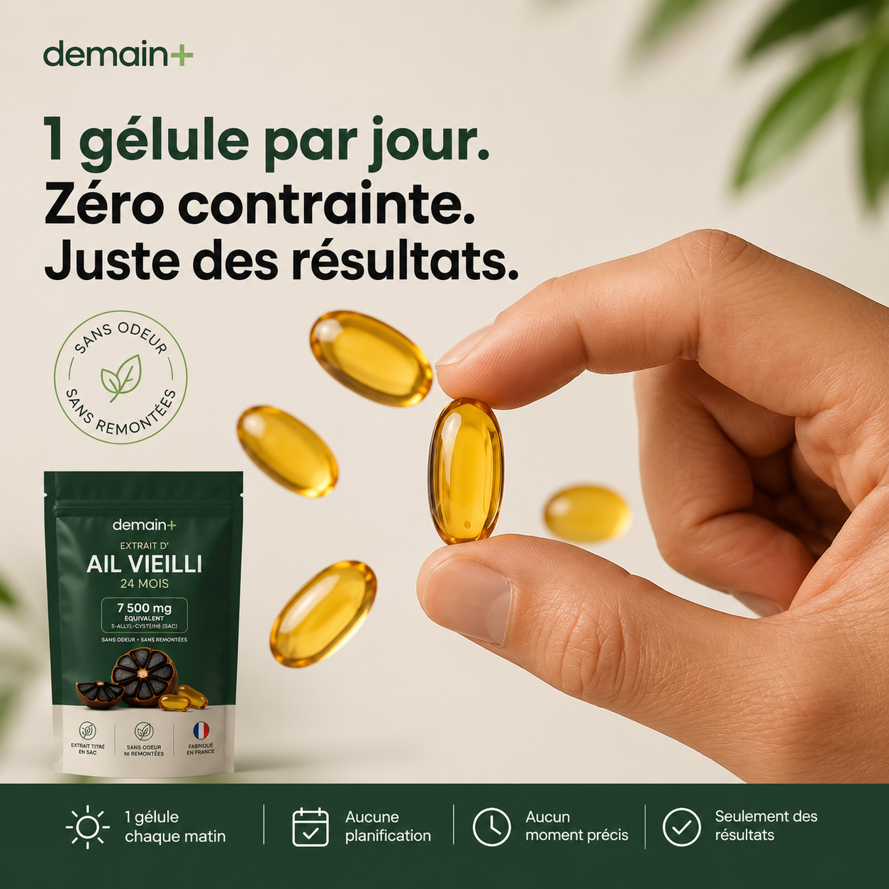 Extrait Naturel d'Ail Vieilli — Tension, Cholestérol & Bien-être global